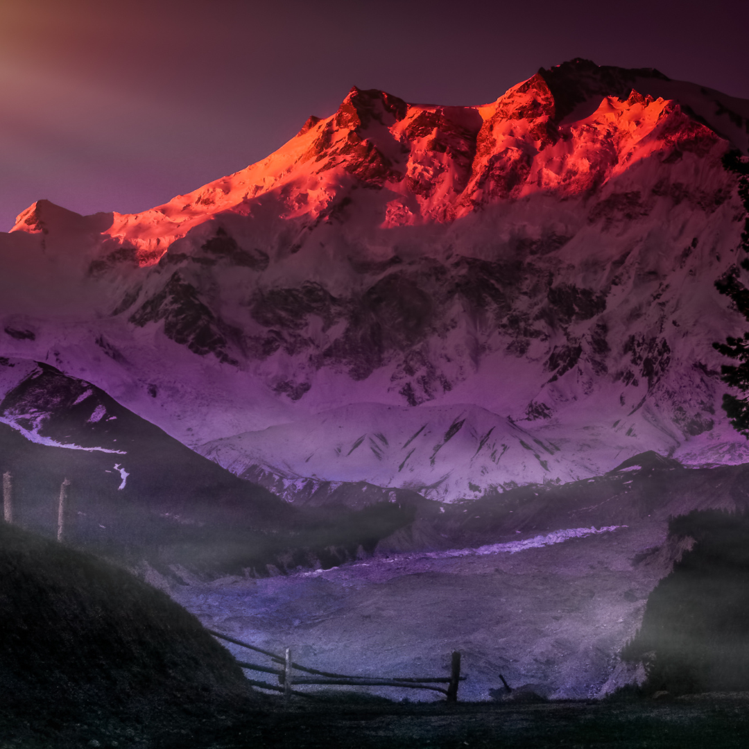 Mountain meadow adventure